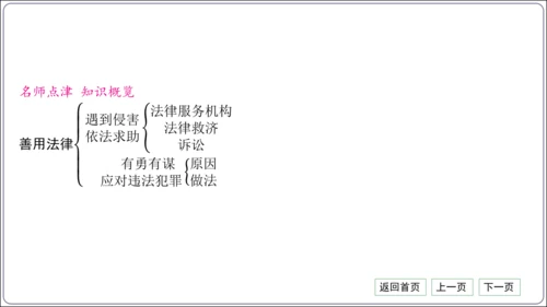 第二单元《遵守社会规则》核心考点梳理读记与精练【统编八上道法期中期末复习】课件(共54张PPT)