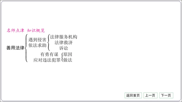 第二单元《遵守社会规则》核心考点梳理读记与精练【统编八上道法期中期末复习】课件(共54张PPT)