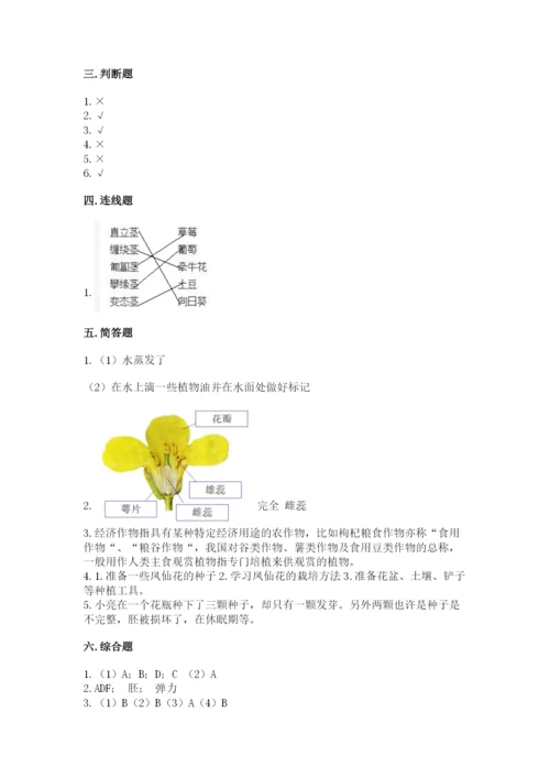 教科版四年级下册科学第一单元《植物的生长变化》测试卷（精练）.docx