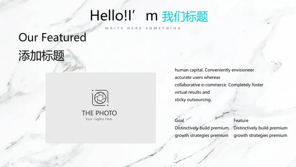 公司产品介绍宣传通用PPT动态模板