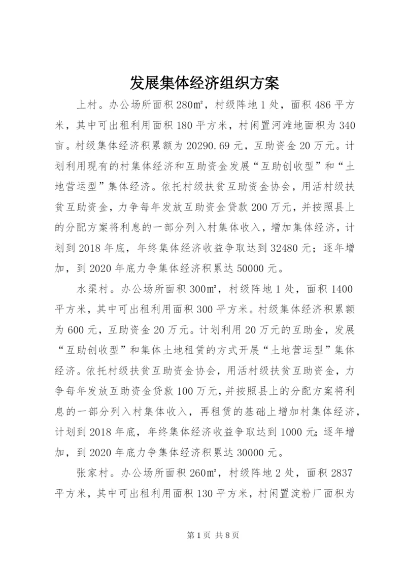 发展集体经济组织方案.docx