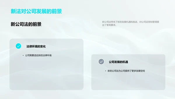 公司法解读报告