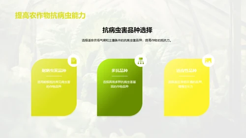 农场种植：现状与未来