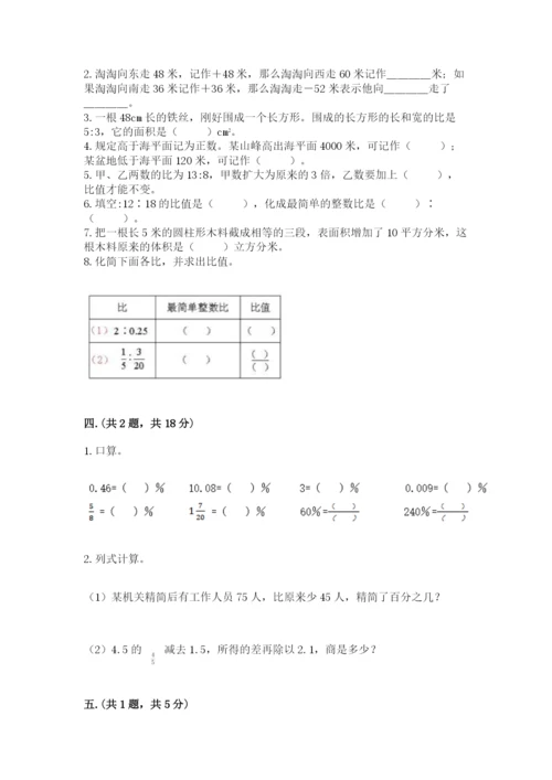 苏教版六年级数学小升初试卷及答案（典优）.docx