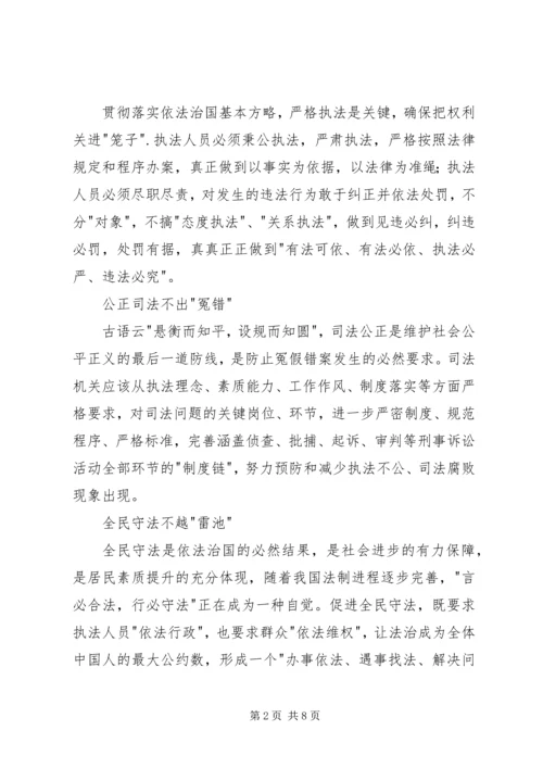 学习十八届四中全会依法治国精神心得体会.docx