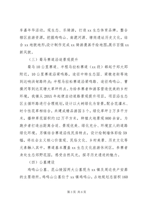 乡镇民生工程实施情况的调研报告.docx