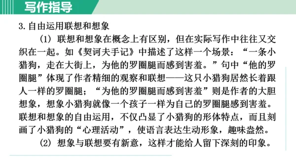 第六单元 写作 发挥联想和想象 课件 七年级语文上册（部编版 五四学制2024）