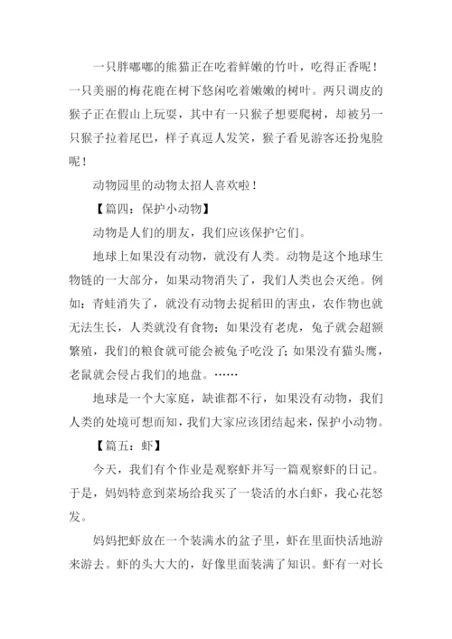 小动物的作文100字.docx