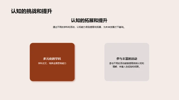 高中生活全面解析