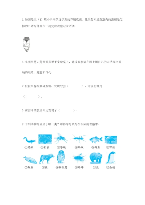 教科版三年级下册科学期末测试卷附参考答案【考试直接用】.docx