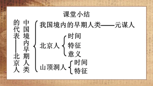 初中历史《人类起源》教学通用PPT课件