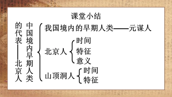 初中历史《人类起源》教学通用PPT课件