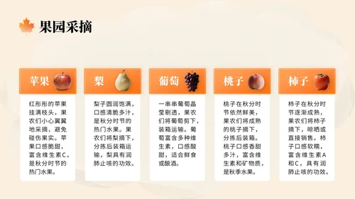 橙色中国风秋分节气文化知识讲座PPT模版