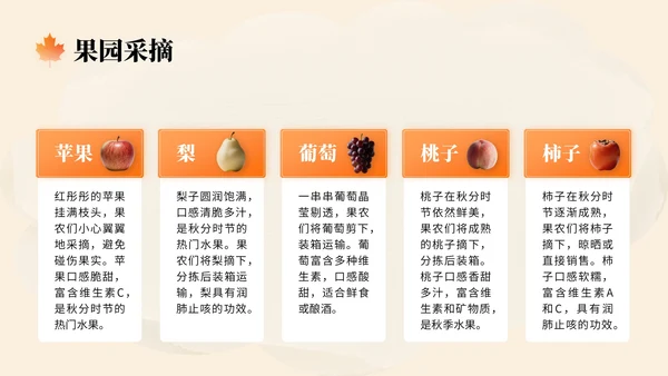 橙色中国风秋分节气文化知识讲座PPT模版