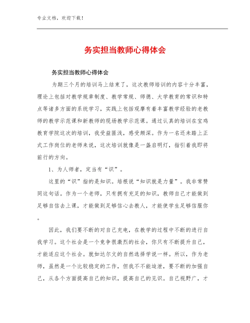 2023年务实担当教师心得体会例文27篇.docx