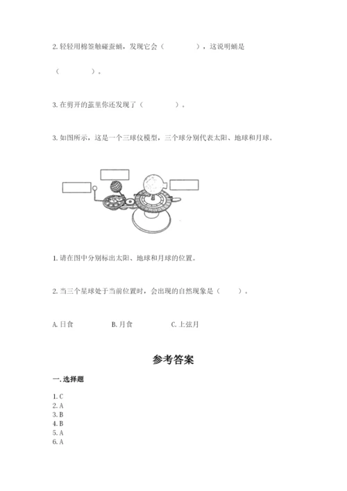 教科版小学科学三年级下册期末测试卷含完整答案（全国通用）.docx