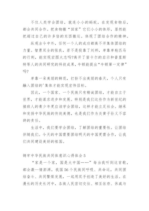 铸牢中华民族共同体意识心得体会.docx