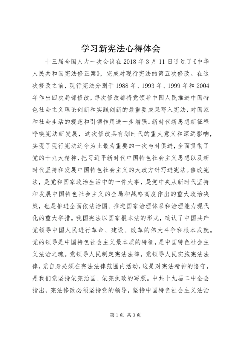 学习新宪法心得体会.docx