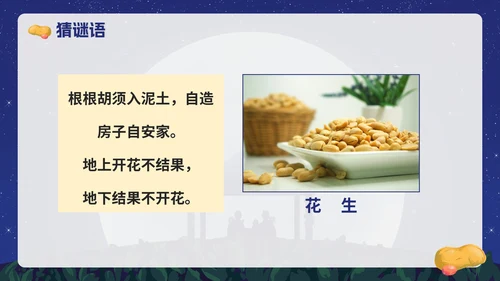 部编版语文五年级上册《落花生》课件