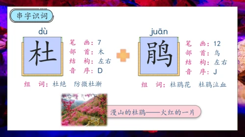 【核心素养】部编版语文四年级下册-17.记金华的双龙洞 第1课时（课件）