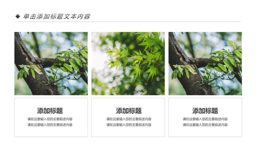 绿色生态森林湿地环境保护植树造林PPT模板