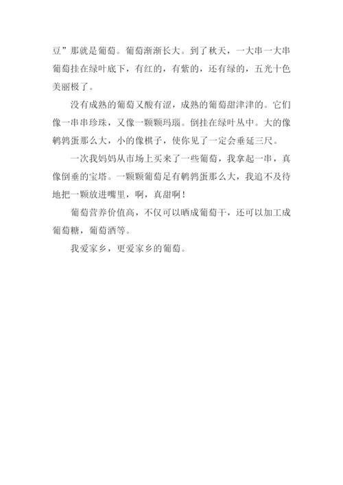 家乡的一处景物作文350字.docx