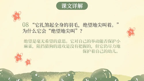 部编版四年级上册麻雀课件PPT模板