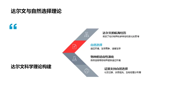 探索生物进化之旅