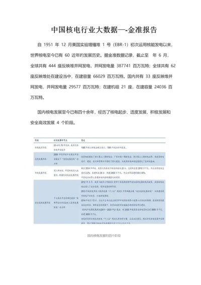 中国核电行业大数据金准报告.docx