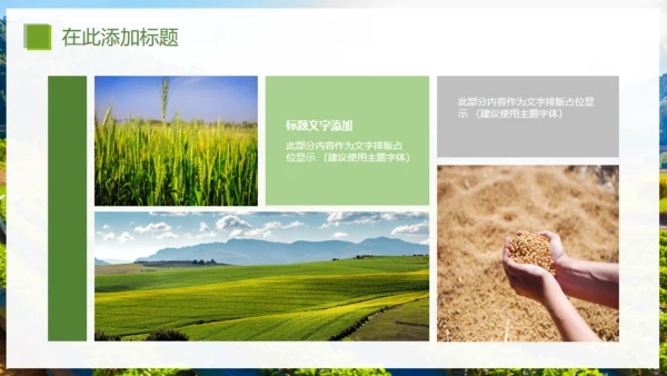 乡村振兴精准扶贫，特色农业项目计划书通用PPT模板