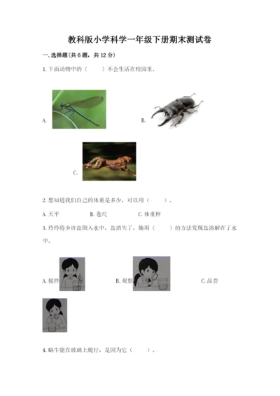 教科版小学科学一年级下册期末测试卷附参考答案【轻巧夺冠】.docx