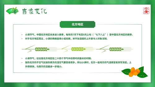 绿意春天小满时节二十四节气通用PPT模板