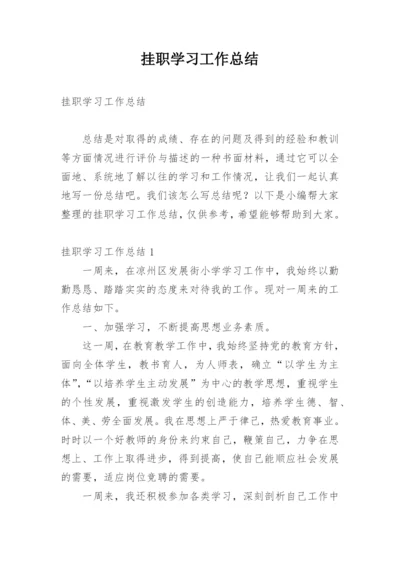 挂职学习工作总结.docx