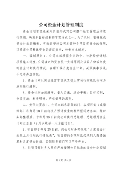 公司资金计划管理制度.docx