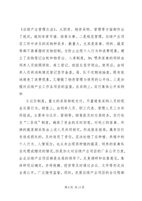 后续产业发展报告.docx