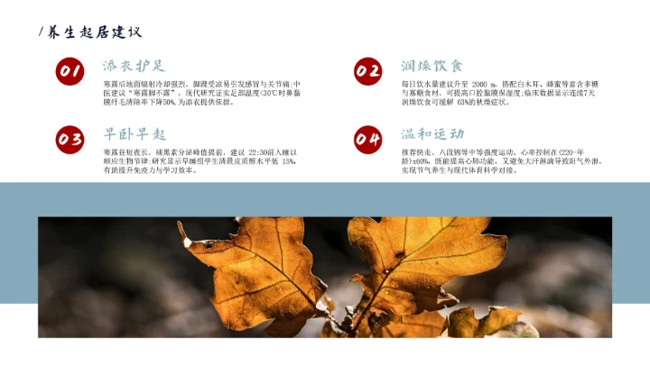 瓷青色简约风寒露节气PPT模版