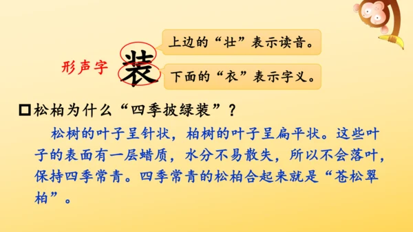 识字2 树之歌  课件