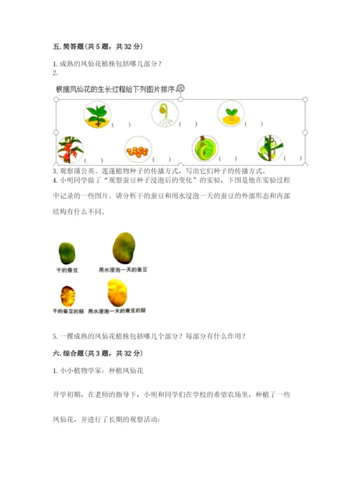 科学四年级下册第一单元植物的生长变化测试卷【综合题】.docx