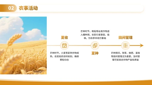 黄色3D卡通芒种节气课堂上的自然与农耕文化PPT模板