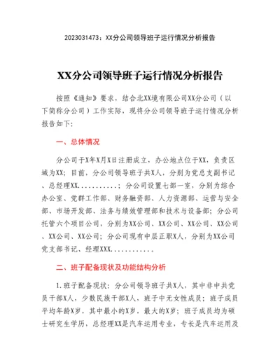 20230315：XX分公司领导班子运行情况分析报告.docx