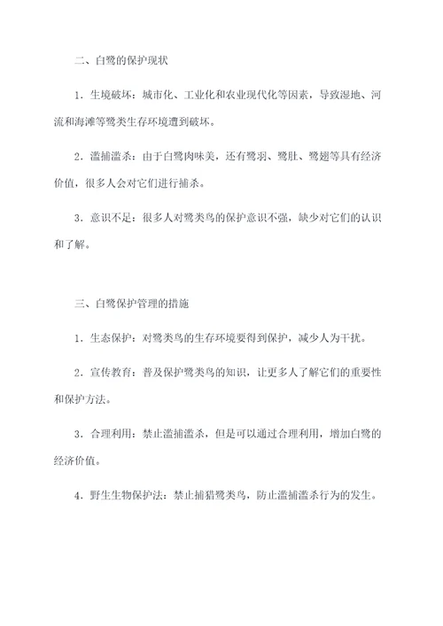 把白鹭改成说明文的提纲