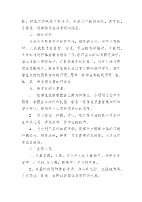 体育教师指导青年教师计划.docx