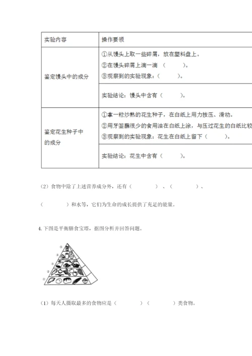 教科版四年级上册科学期末测试卷【考试直接用】.docx