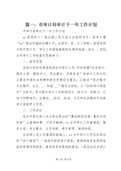 篇一：市审计局审计下一年工作计划.docx