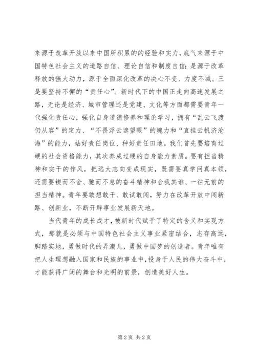 当代青年开展“正风肃纪”集中教育整顿的心得体会.docx