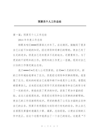 预算员个人工作总结.docx