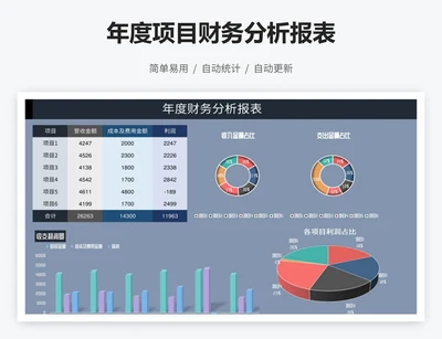 年度项目财务分析报表