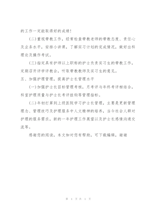 20XX年护理个人工作计划范文.docx