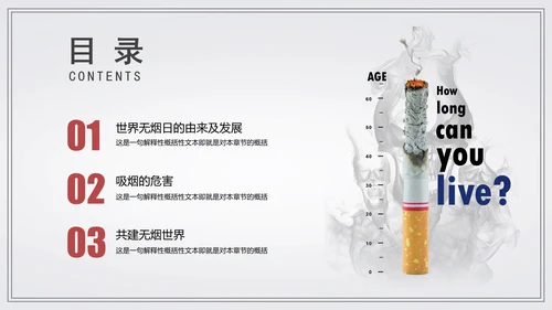 世界无烟日宣传教学通用PPT模板