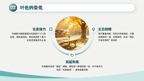 绿色简约风霜降主题班会PPT模板